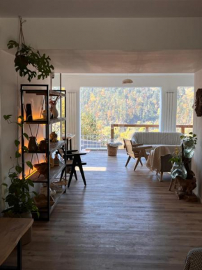 Shard Boutique Hotel-adult only Braşov